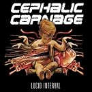 Lucid Interval