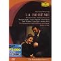 �v�b�`�[�j:�̌��s���E�{�G�[���t [DVD]