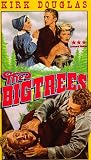  The Big Trees