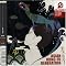���^�V�̍D���ȃA�W�J������