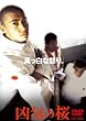 ���C�̍� [DVD]