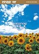 virtual trip �k�C���E�� HD SPECIAL EDITION(HD DVD+DVD�c�C���t�H�[�}�b�g)