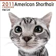 THE CAT �A�����J���E�V���[�g�w�A�@�@2011�N�J�����_�[