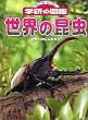 ���E�̍��� (�j���[���C�h�w���̐}��)