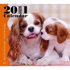 �J�o���A�E�L���O�E�`���[���Y�E�X�p�j�G���J�����_�[ 2011 (�m�J�����_-�n)