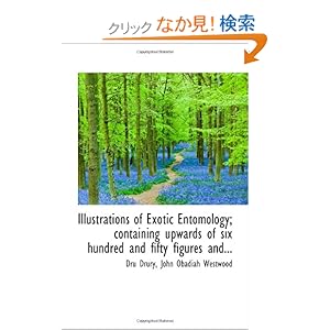 【クリックでお店のこの商品のページへ】Illustrations of Exotic Entomology; containing upwards of six hundred and fifty figures and...: Dru Drury, John Obadiah Westwood: 洋書