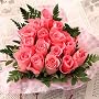 �y�N�[���֔z���i�����T�[�r�X�j�z�����z�B���ԉ�����@�V���b�v�l�C�m�n.1�n�[�g�A�����W��y���������z�s���N�n�[�g�i�o���A�����W�����g�j�m��������]�@ �a�����E�L�O���E���j���E�����j���E���������E�����}��E�����j������̉Ԃ̔z�B��
