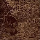 Of Stone Wind and Pillor