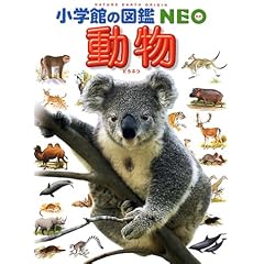 【クリックで詳細表示】【取得NG】動物 (小学館の図鑑NEO)： 三浦 慎悟： 本