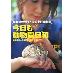 ���������������a�\����W���K�C�h�����쓮����