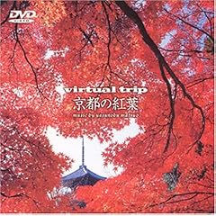 Virtual Trip ���s�̍g�t [DVD]