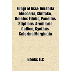 Fungi of Asia: Amanita Muscaria, Shiitake, Boletus Edulis, Panellus Stipticus, Armillaria Gallica, Cyathus, Galerina Marginata