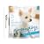 nintendogs �`����&�t�����Y