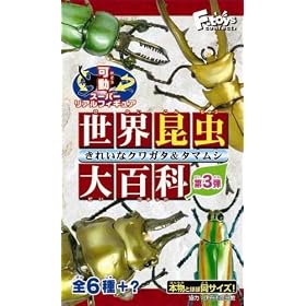 ���E������S��3 1BOX (�H��)