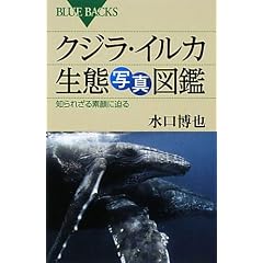 �N�W���E�C���J���Ԏʐ^�}�Ӂ\�m��ꂴ��f��ɔ��� (�u���[�o�b�N�X)