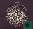 Best of Doves