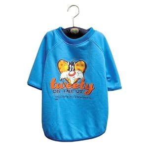 【クリックで詳細表示】Tシャツ(ハンガー付き) S WB-TS2 ブルー 5504h