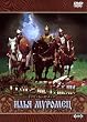 �����Ɩ��������@�C�����E���[�����b�c[DVD]
