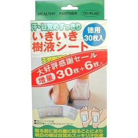���ʂ����������t�V�[�g 30+6��