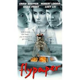 Flypaper [VHS] [Import]