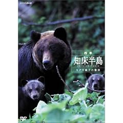 �l�G�E�m������ ~�q�O�}�e�q�̕���~ [DVD]