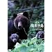�l�G�E�m������ ~�q�O�}�e�q�̕���~ [DVD]