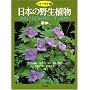 ���{�̖쐶�A���\���{