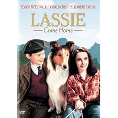 �������b�V�[ / �ƘH [DVD]