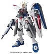 HG 1/144 ZGMF-X10A �t���[�_���K���_�� (�@����m�K���_��SEED)