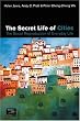 The Secret Life of Cities: The Social Reproduction of Everyday Life