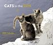 Cats in the Sun 2004 Calendar