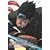 NARUTO -�i���g- �����` �s���̔j��ҁA��i�E�p�s�̏� 2 [DVD]
