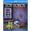 Kiko Live [Blu-ray] [Import]