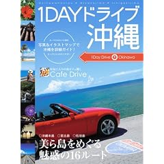 1DAY �h���C�u����