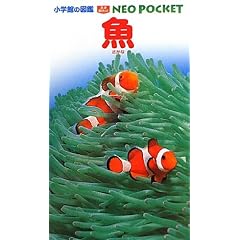 �� (���w�ق̐}�� NEO�|�P�b�g)
