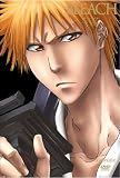 [DVD]堀内賢雄 BLEACH 新隊長天貝繍助篇 1 【完全生産限定版】 [DVD]