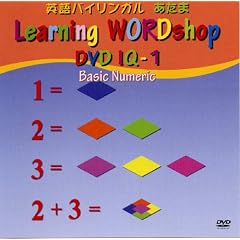 IQ(�m�\�J��) 1�� ��{�����F�� [DVD]