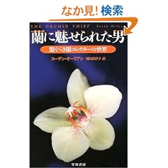 ���ɖ�����ꂽ�j�\�����ׂ����R���N�^�[�̐��E (�n���J������NF)