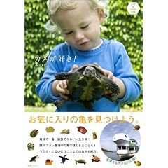 �J�����D��!���ߋTKAME�}�� (P�]Vine BOOKs) (P-Vine Books)