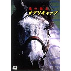 �I�O���L���b�v ���̌��� [DVD]