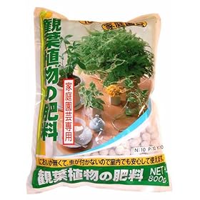 ����ϗt�A���̔엿800g