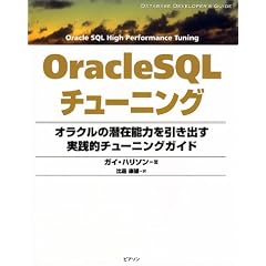 OracleSQL�`���[�j���O�\�I���N���̐��ݔ\�͂������o�����H�I�`���[�j���O�K�C�h (Database developer�fs guide)