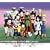 DRAGON BALL Z DVD BOX DRAGON BOX VOL.2