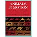 Animals in Motion