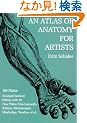 An Atlas of Anatomy for Artists