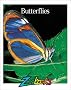 Butterflies (Zoobooks)