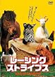 ���[�V���O�E�X�g���C�v�X [DVD]