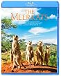 �~�[�A�L���b�g [Blu-ray]
