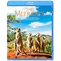 �~�[�A�L���b�g [Blu-ray]