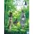 AIR IN SUMMER(��������) [DVD]